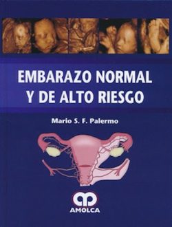 EMBARAZO NORMAL Y DE ALTO RIESGO