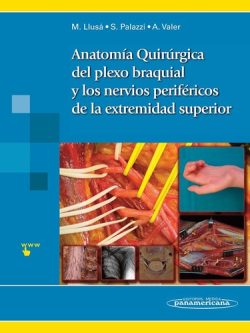 ANATOMIA QUIRURGICA DEL PLEXO BRAQUIAL Y DE LOS NERVIOS PERIFERICOS