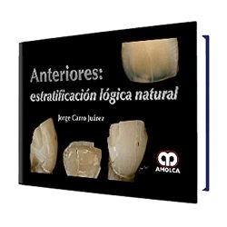ANTERIORES ESTRATIFICACION LOGICA NATURAL