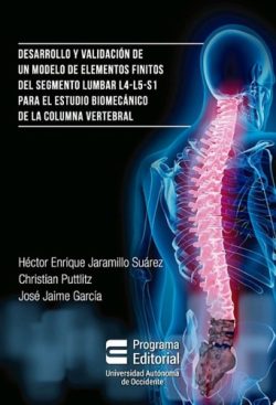 DESARROLLO Y VALIDACION DE UN MODELO DE ELEMENTOS FINITOS
